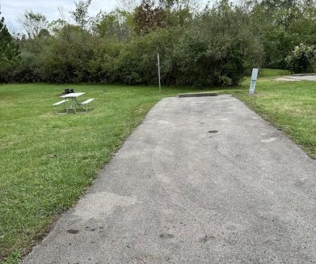 Camp Site 195 (Electric Only)