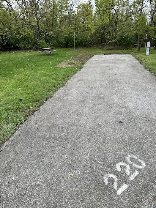 Campsite 220 (Electric Only) Picture 1