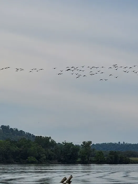 White Oak Creek Marina & Campground Picture 1
