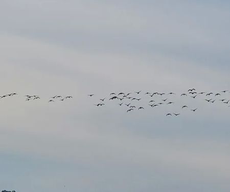 White Oak Creek Marina & Campground