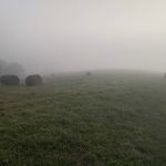 Mandolin Farm Campground