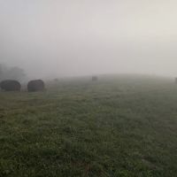 Mandolin Farm Campground ico