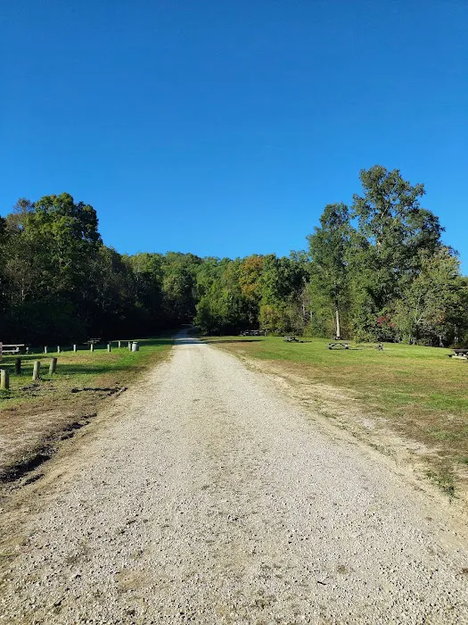 White Sulphur Horse Camp Picture 1