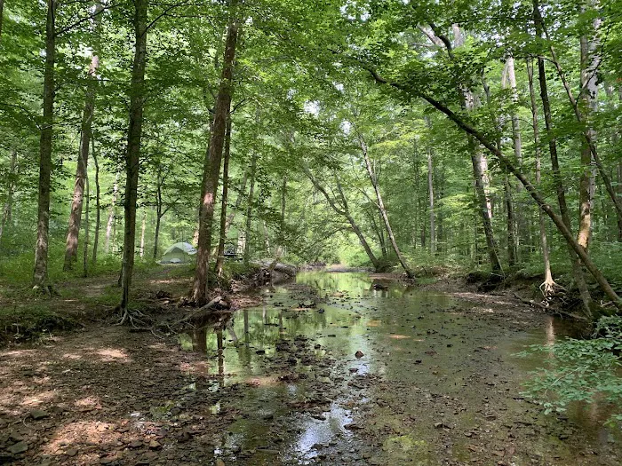 Clear Creek Campground Picture 6