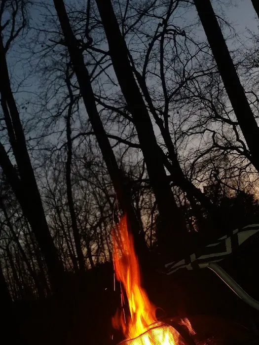 Lake Tillery Residential Campground Picture 7