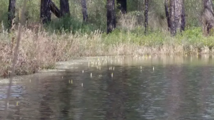Hoffman Wildlife Turnoff Picture 3