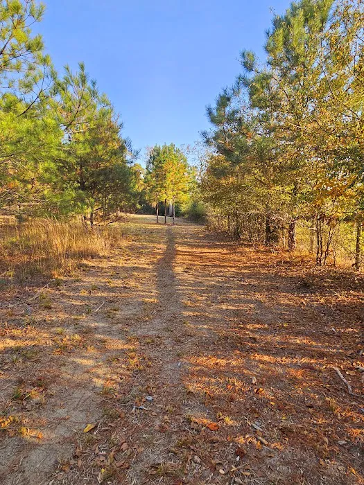 Idlewild Farm Stays Picture 3