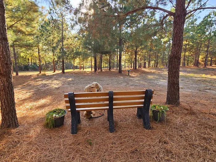 Idlewild Farm Stays Picture 9