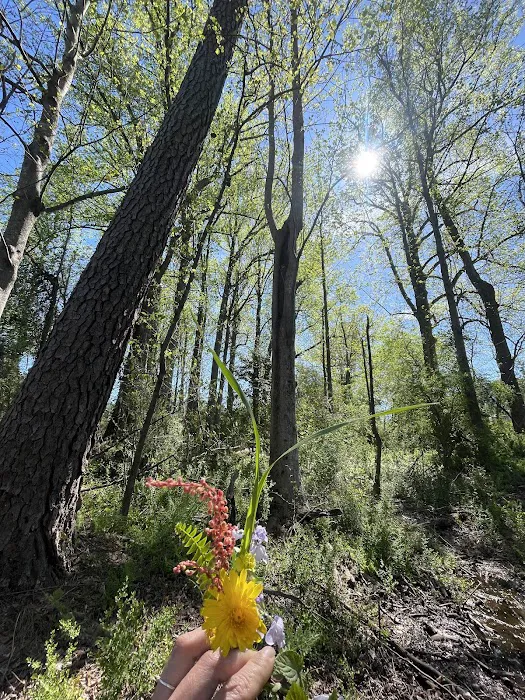 Idlewild Farm Stays Picture 5