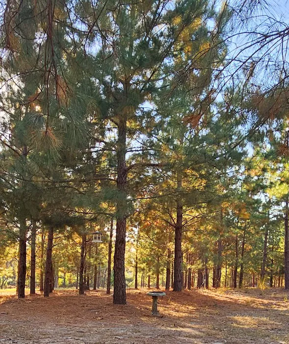 Idlewild Farm Stays Picture 4