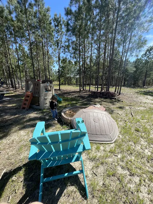 Idlewild Farm Stays Picture 6