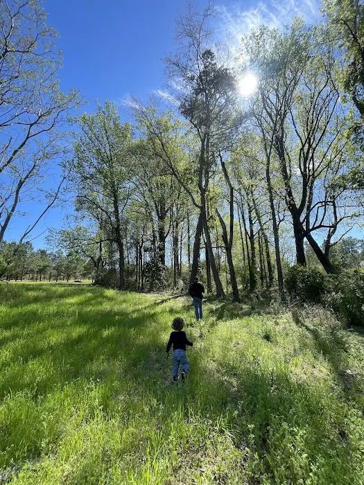 Idlewild Farm Stays Picture 2