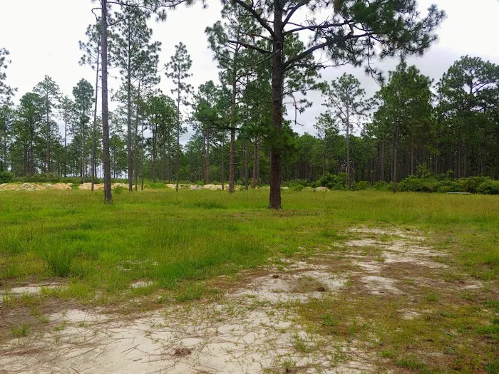 Sandhills campground b Picture 7