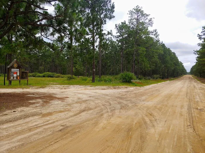 Sandhills campground b Picture 4