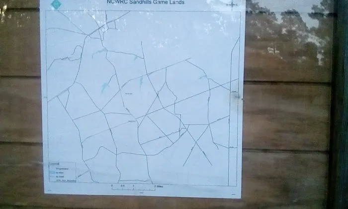 Sandhills campground b Picture 1