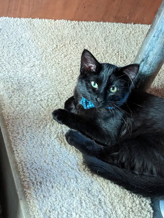 Clay Targets RV Park Picture 4