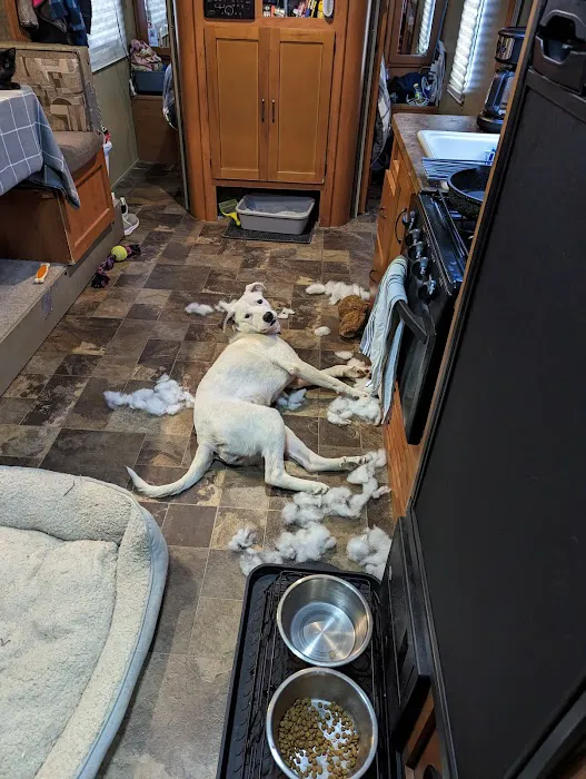 Clay Targets RV Park Picture 6