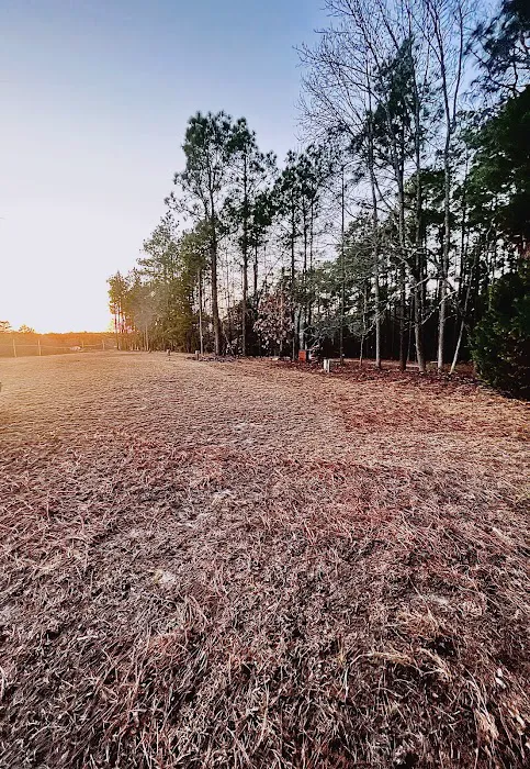 Racetrack Campground Picture 5
