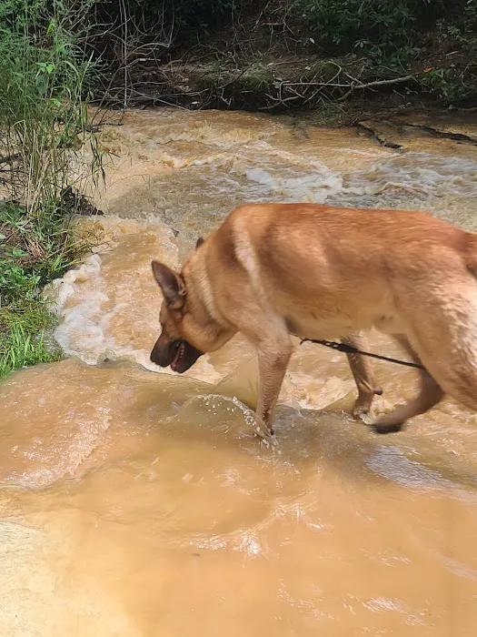 Raven Rock State Park Campground Picture 2