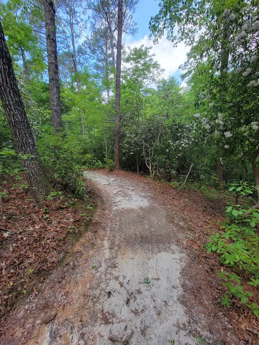 Raven Rock State Park Campground Picture 1