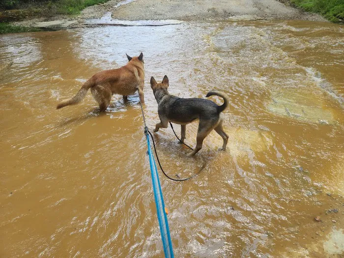Raven Rock State Park Campground Picture 9