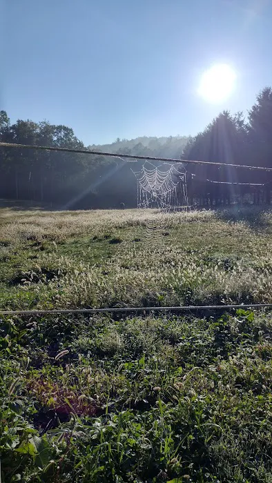 Gentry Creek Farm Picture 4