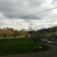 Gentry Creek Farm ico