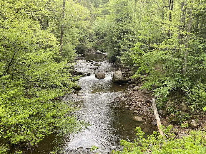 Backbone Rock Campground Picture 10