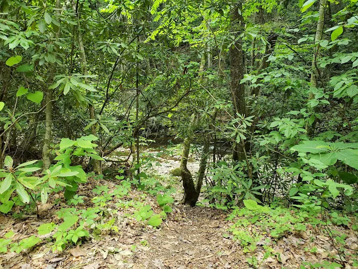 Backbone Rock Campground Picture 5
