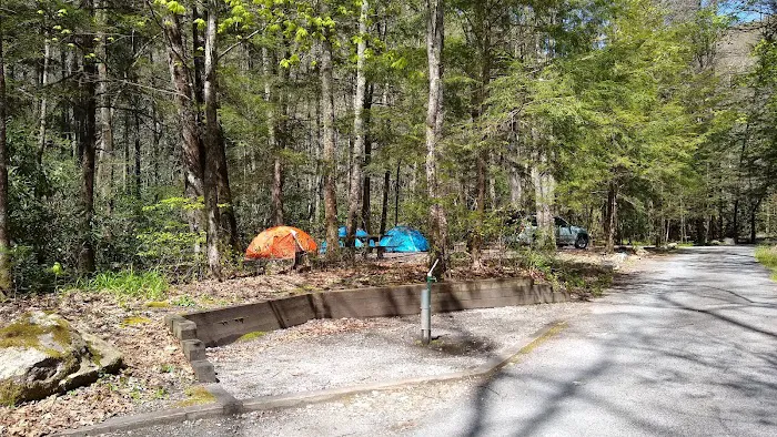 Backbone Rock Campground Picture 6