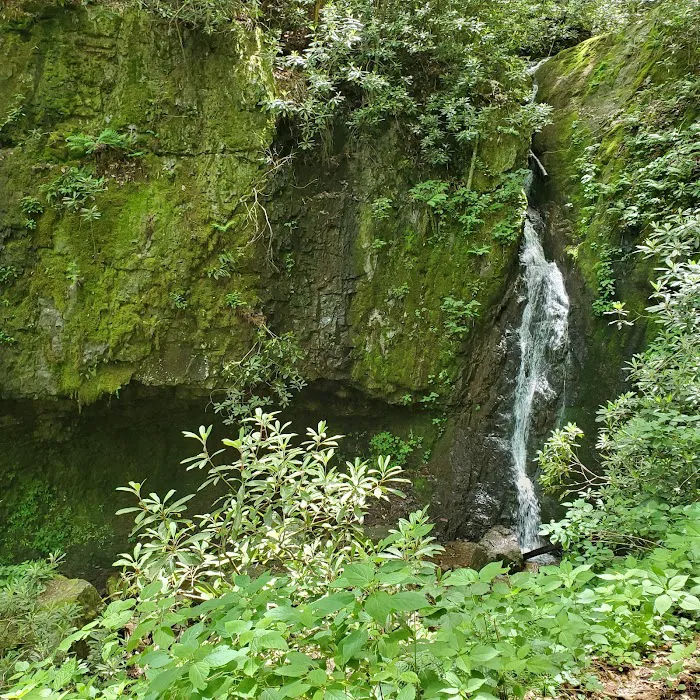 Backbone Rock Campground Picture 4