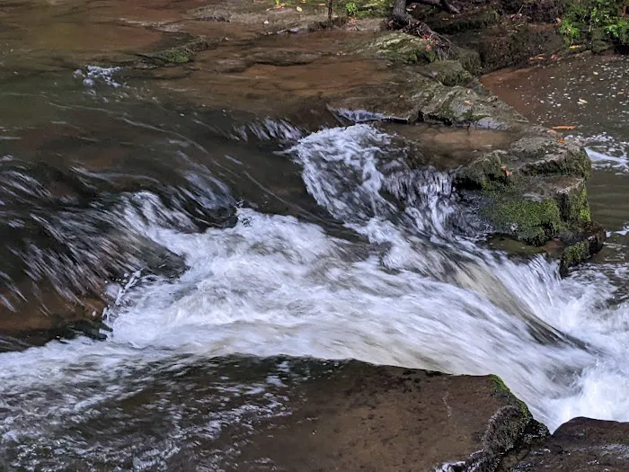 Backbone Rock Campground Picture 7