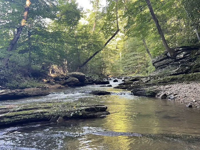 High Country Motorcycle Camp Picture 2