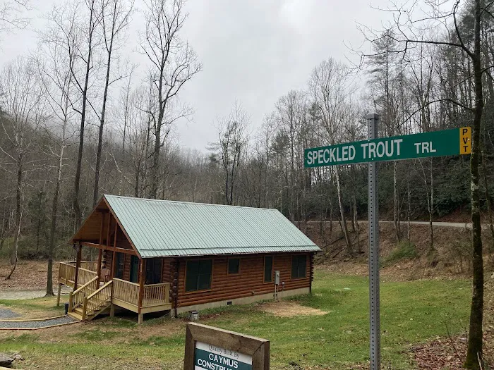 Trout House Cabin Picture 9