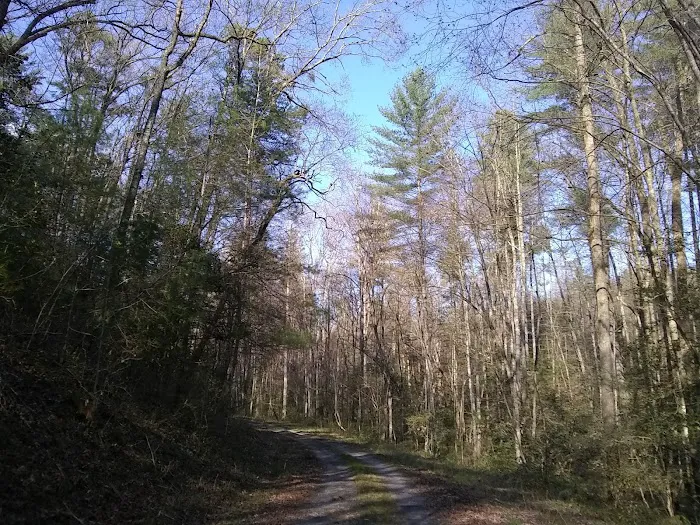 NFS Campsites Picture 6