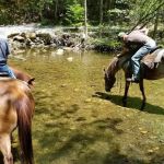 South Mountain Equestrian Campground