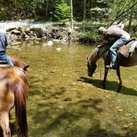 South Mountain Equestrian Campground ico