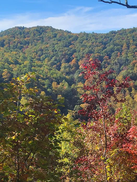 South Mountain Equestrian Campground Picture 6