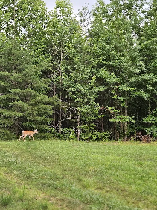 South Mountain Equestrian Campground Picture 8