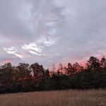 Sawtooth Backcountry Campground