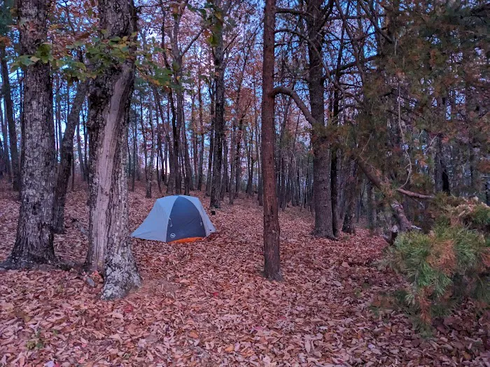 Sawtooth Backcountry Campground Picture 3