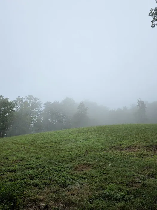 Little River Backcountry Campground Picture 2