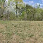 Little River Backcountry Campground