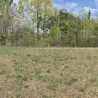 Little River Backcountry Campground ico