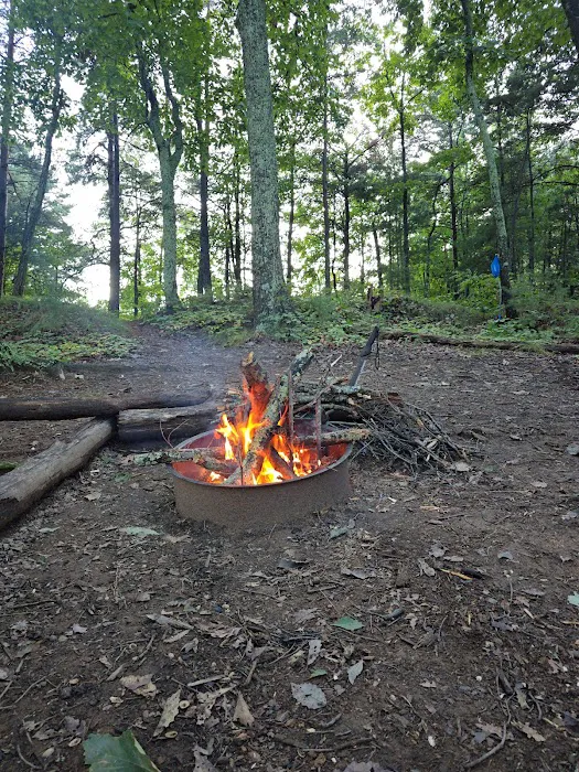 Little River Backcountry Campground Picture 5