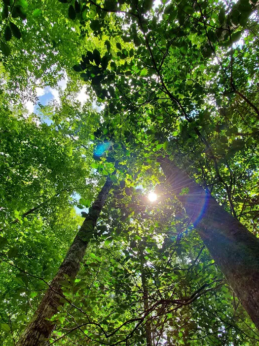 South Mountains State Park Family Campground Picture 7