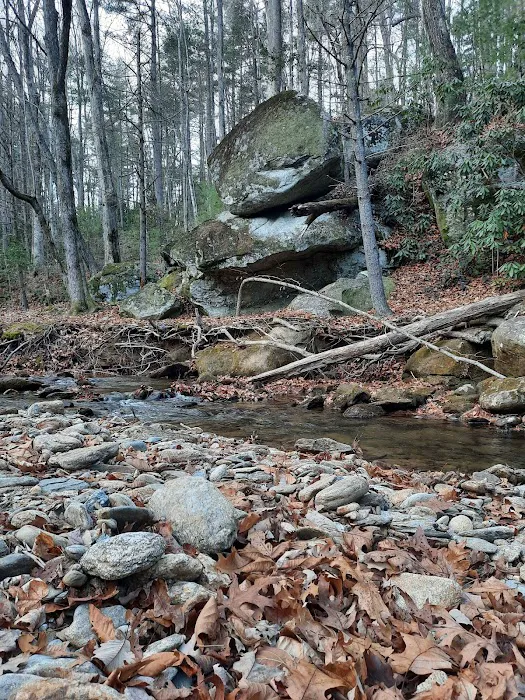Shinny Creek Backcountry Campground Picture 1