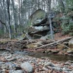 Shinny Creek Backcountry Campground