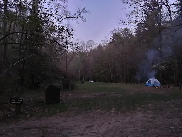 Shinny Creek Backcountry Campground Picture 3