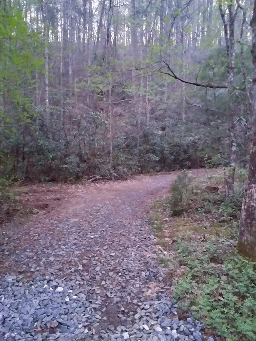 Shinny Creek Backcountry Campground Picture 5